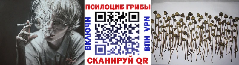 Псилоцибиновые грибы MAGIC MUSHROOMS  MEGA онион  Барабинск 